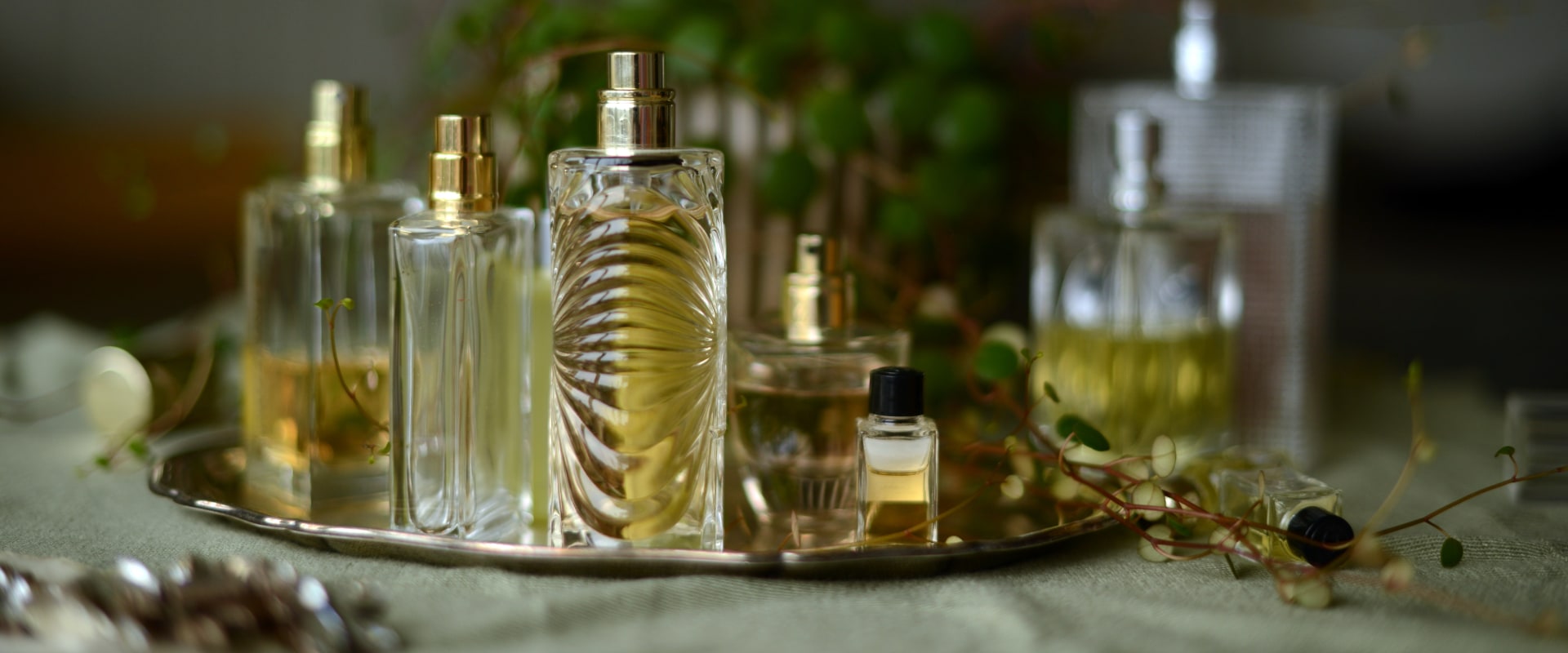 Decoding Perfume Quality & Pricing: An Expert Guide