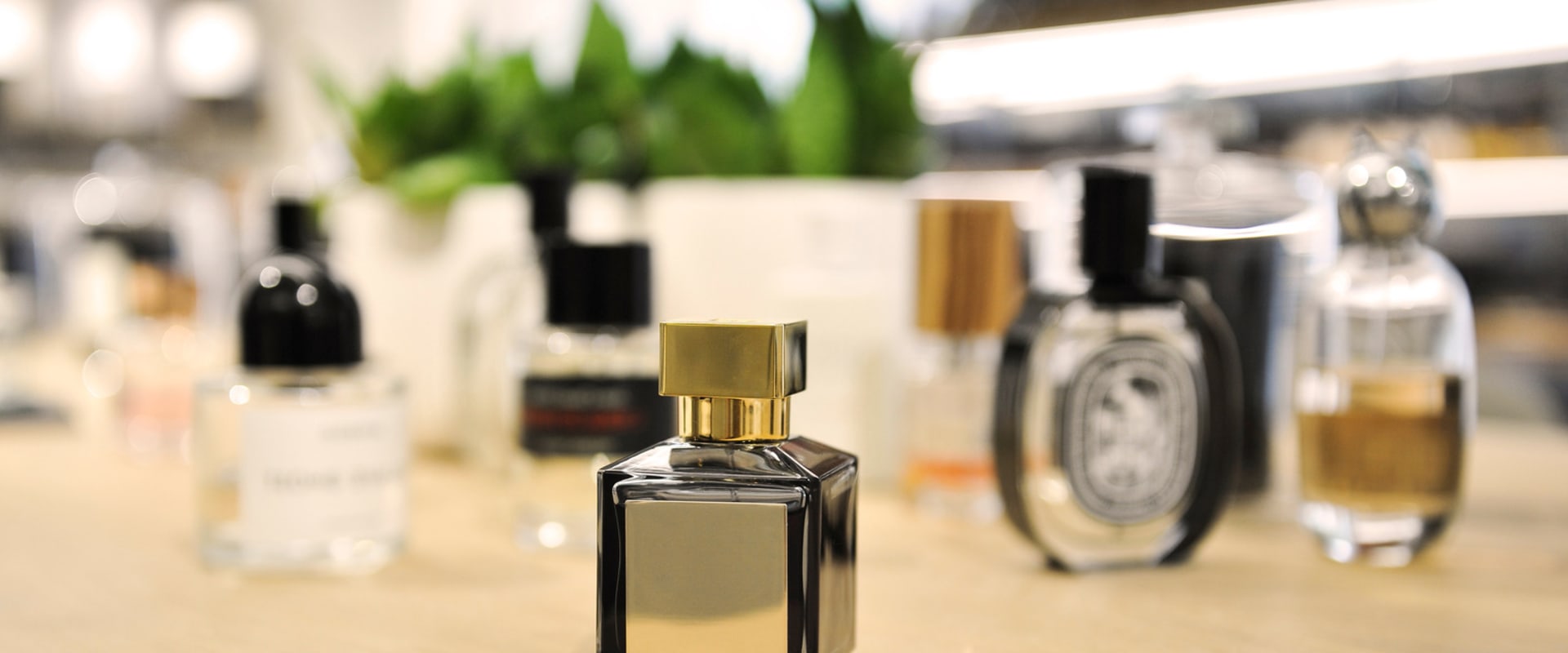 The Power of Ingredients: How They Shape Your Perfume's Scent